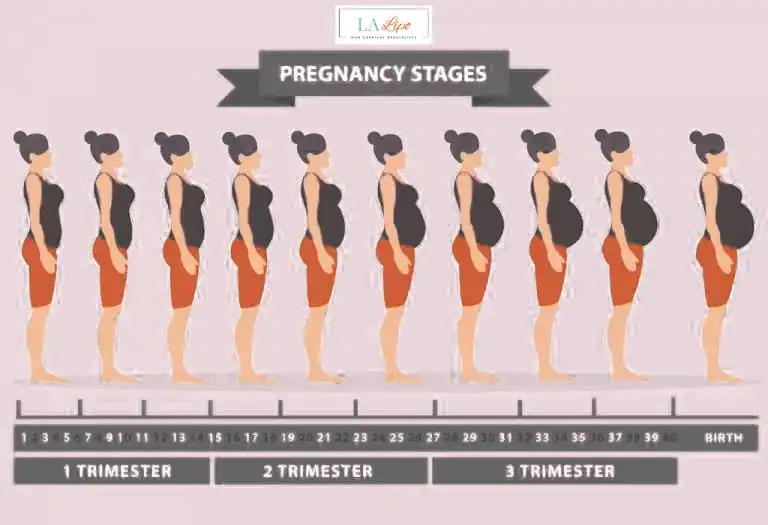 First Trimester (Weeks 1–12): Early Changes You Might Not Notice Lymington